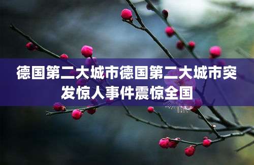 德国第二大城市德国第二大城市突发惊人事件震惊全国