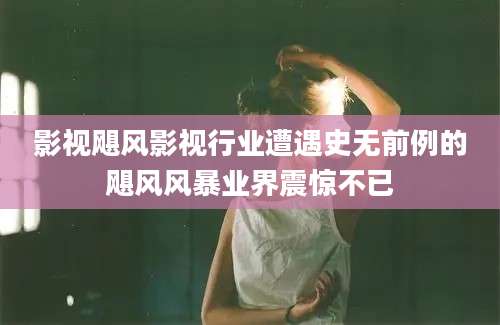 影视飓风影视行业遭遇史无前例的飓风风暴业界震惊不已