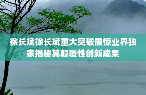 徐长斌徐长斌重大突破震惊业界独家揭秘其颠覆性创新成果
