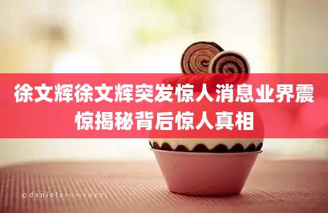 徐文辉徐文辉突发惊人消息业界震惊揭秘背后惊人真相
